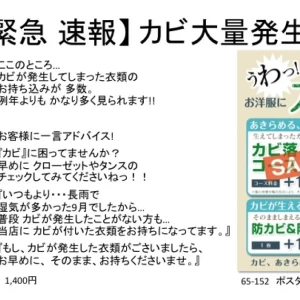 カビに困っていませんか？