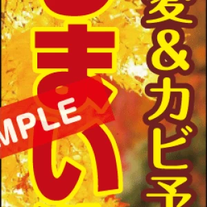 のぼり【夏物しまい洗い】